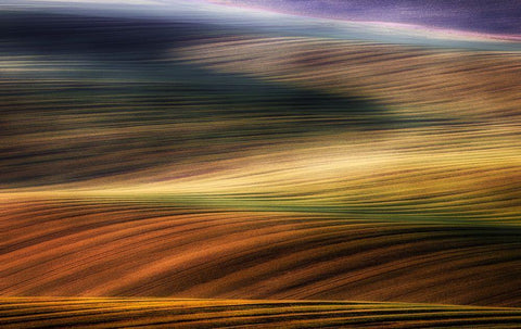 Autumn Fields Black Ornate Wood Framed Art Print with Double Matting by Krol, Piotr