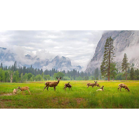 A Feeling Of Ancient Time White Modern Wood Framed Art Print by Mao, Dianne