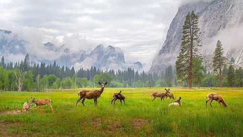 A Feeling Of Ancient Time Black Ornate Wood Framed Art Print with Double Matting by Mao, Dianne