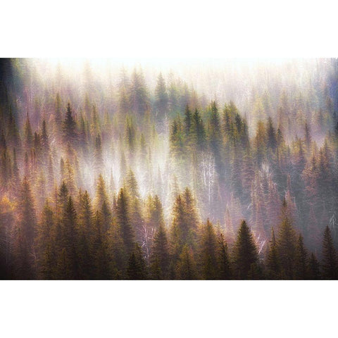 Untitled Black Modern Wood Framed Art Print by Chopra, Atul