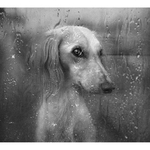 Autumn Gold Ornate Wood Framed Art Print with Double Matting by Melik-Nubarova, Svetlana