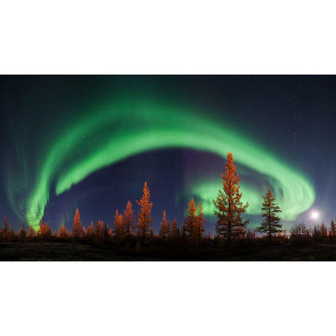 Northern Lights Black Modern Wood Framed Art Print with Double Matting by Snegirev, Andrey