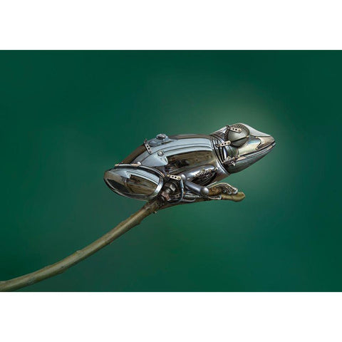 Frog Black Modern Wood Framed Art Print by Almawash, Sulaiman