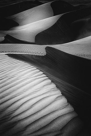 Desert Light Black Ornate Wood Framed Art Print with Double Matting by Al Adwan, Rami