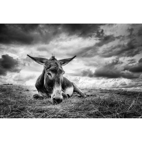 Taking A Break Black Modern Wood Framed Art Print with Double Matting by Mortier, Kurt