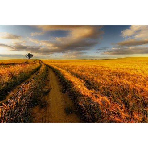 Yellow White Modern Wood Framed Art Print by Krol, Piotr