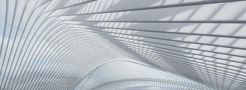 Guillemins White Modern Wood Framed Art Print with Double Matting by Bruederl, Joachim