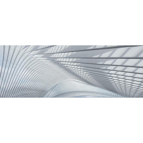 Guillemins Black Modern Wood Framed Art Print by Bruederl, Joachim