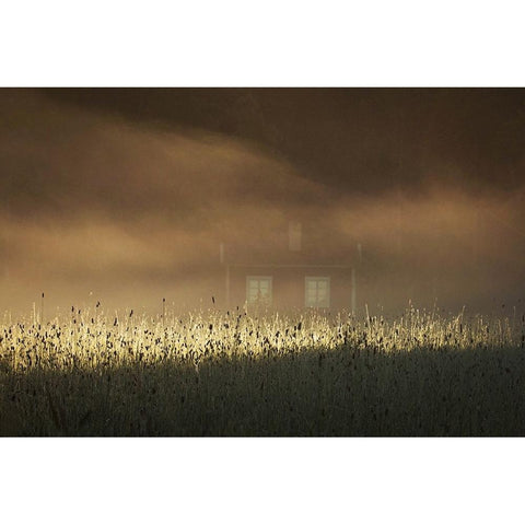 A Small Red Cottage Black Modern Wood Framed Art Print by Wallberg, Allan