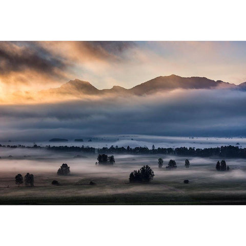 Autumn Morning... White Modern Wood Framed Art Print by Pauli, Nina