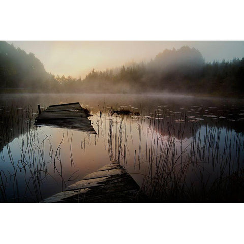 In The Misty Morning Gold Ornate Wood Framed Art Print with Double Matting by Marthinussen, Willy