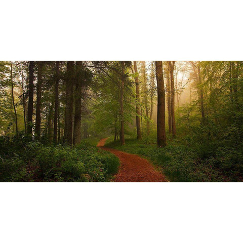 The Red Path. White Modern Wood Framed Art Print by Londal, Leif