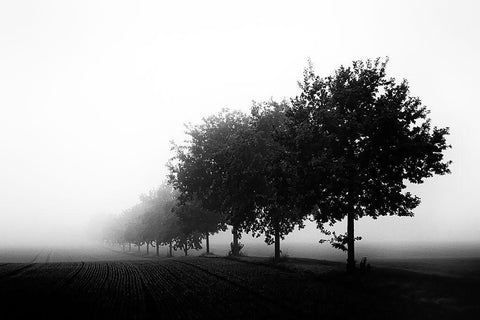 Foggy Day White Modern Wood Framed Art Print with Double Matting by Buchmann, Oliver