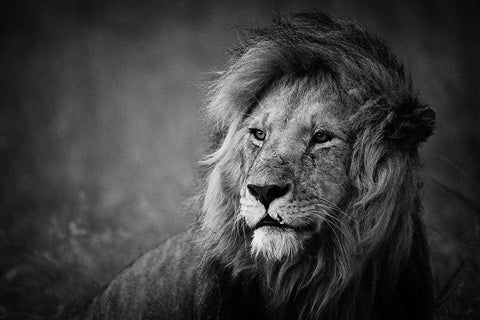 Regal White Modern Wood Framed Art Print with Double Matting by Alnaser, Mohammed