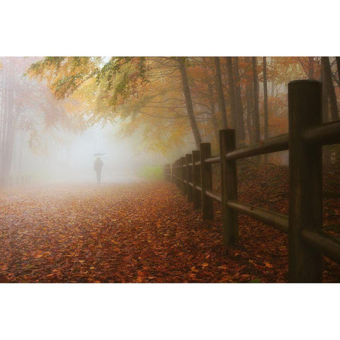 My Way To Autumn Black Modern Wood Framed Art Print with Double Matting by Lazzarotti, Paolo