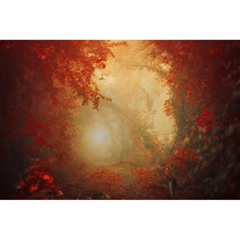 Personal Journey Gold Ornate Wood Framed Art Print with Double Matting by Neer, Ildiko