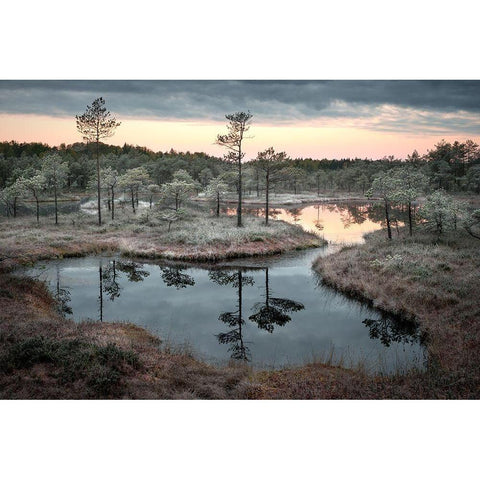 Spilled Paint Black Modern Wood Framed Art Print with Double Matting by Cirulis, Reinis