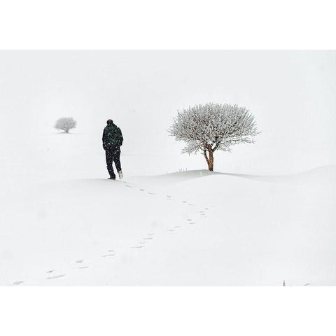 Lone On Snow White Modern Wood Framed Art Print by Ayden, Cem