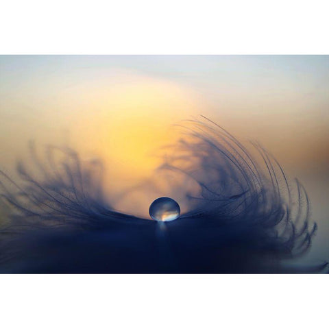 Morning Gold Ornate Wood Framed Art Print with Double Matting by Loorits, Peep