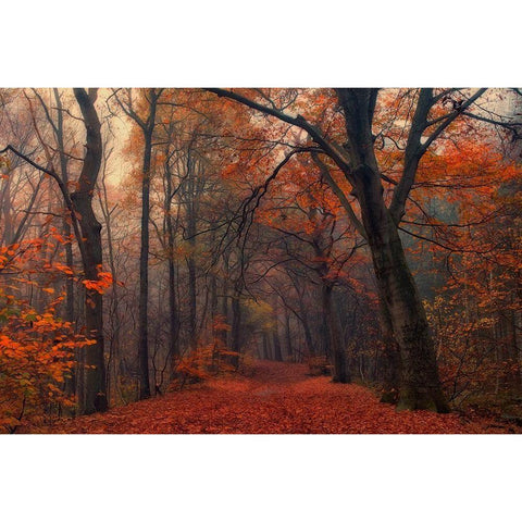 Decorative Forest Gold Ornate Wood Framed Art Print with Double Matting by Van Dongen, Anton