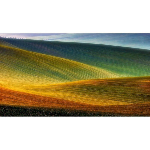 Spring Fields White Modern Wood Framed Art Print by Krol, Piotr