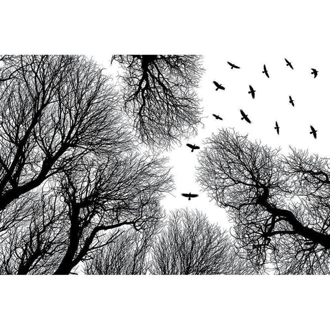 Out To The Open Black Modern Wood Framed Art Print with Double Matting by Damsten, Petri