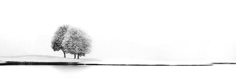 United #2 Black Ornate Wood Framed Art Print with Double Matting by Huybrighs, Marc