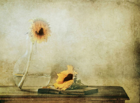 The Black Heart Black Ornate Wood Framed Art Print with Double Matting by Devos, Delphine