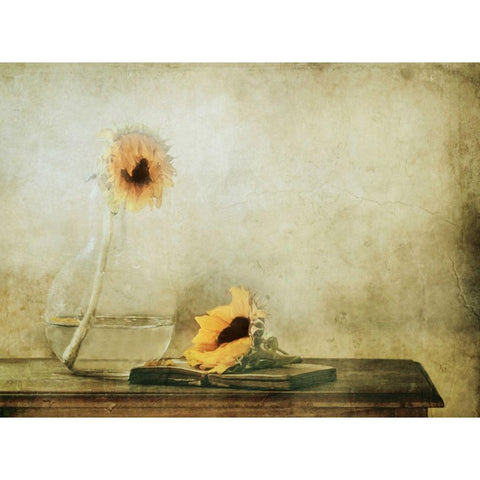 The Black Heart Black Modern Wood Framed Art Print with Double Matting by Devos, Delphine