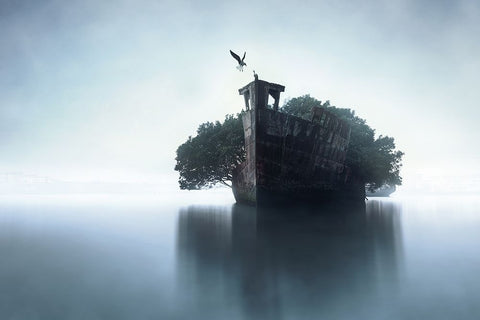 100 Years Later White Modern Wood Framed Art Print with Double Matting by F, Terry