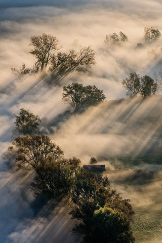 Slalom Light Black Ornate Wood Framed Art Print with Double Matting by Marini, Roberto