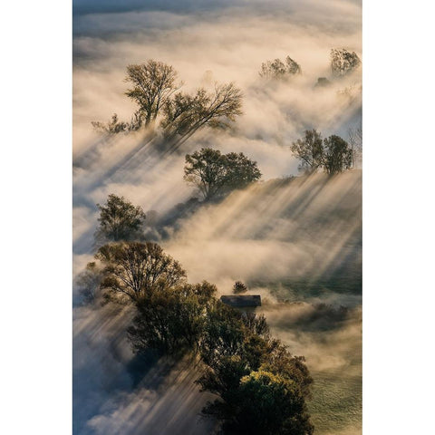 Slalom Light Black Modern Wood Framed Art Print with Double Matting by Marini, Roberto