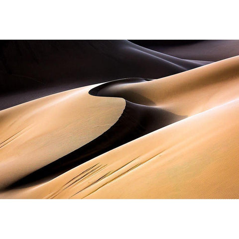S Black Modern Wood Framed Art Print by Momeni, Mohammadreza