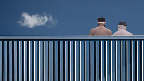 The Fence Black Ornate Wood Framed Art Print with Double Matting by Vangindertael, Luc