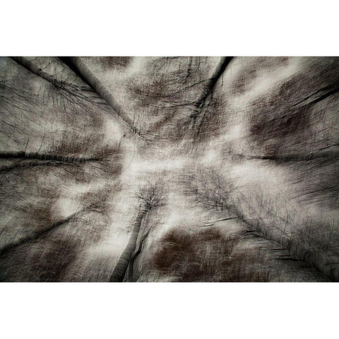 The First Autumn Storm Black Modern Wood Framed Art Print with Double Matting by Davidsson, Gustav