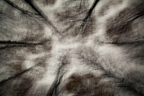 The First Autumn Storm Black Ornate Wood Framed Art Print with Double Matting by Davidsson, Gustav