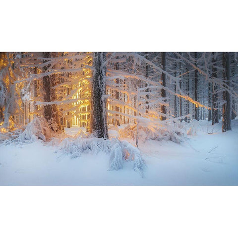 Silent Dream Black Modern Wood Framed Art Print by Jochen, Burger