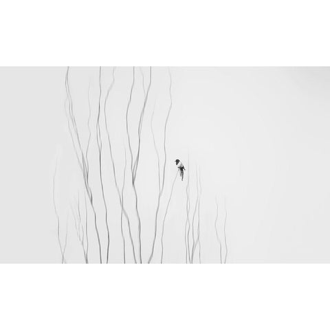 Winter Moment Black Modern Wood Framed Art Print with Double Matting by Jiang, Shan