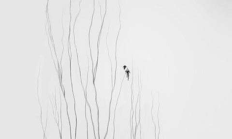 Winter Moment White Modern Wood Framed Art Print with Double Matting by Jiang, Shan