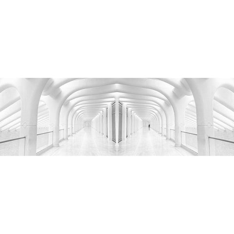 Rib Cage Gold Ornate Wood Framed Art Print with Double Matting by Eliash, Tomer