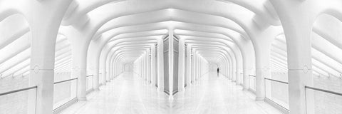 Rib Cage White Modern Wood Framed Art Print with Double Matting by Eliash, Tomer