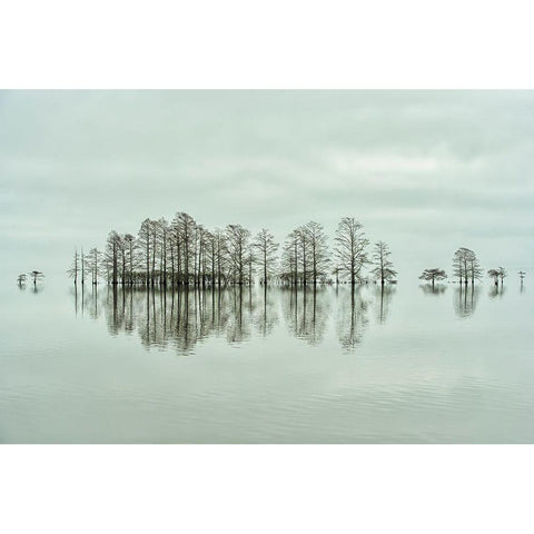 Lake-Shore Lineup Beauty Black Modern Wood Framed Art Print with Double Matting by Yu, Liyun