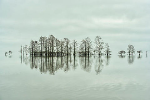 Lake-Shore Lineup Beauty White Modern Wood Framed Art Print with Double Matting by Yu, Liyun