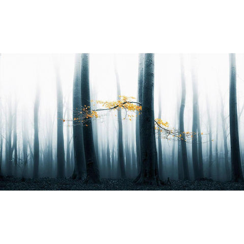 Speulder Revisited Black Modern Wood Framed Art Print with Double Matting by Van De, Lars