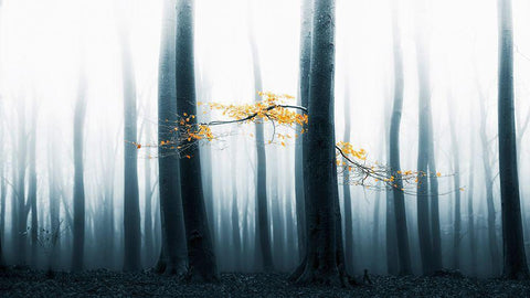 Speulder Revisited Black Ornate Wood Framed Art Print with Double Matting by Van De, Lars