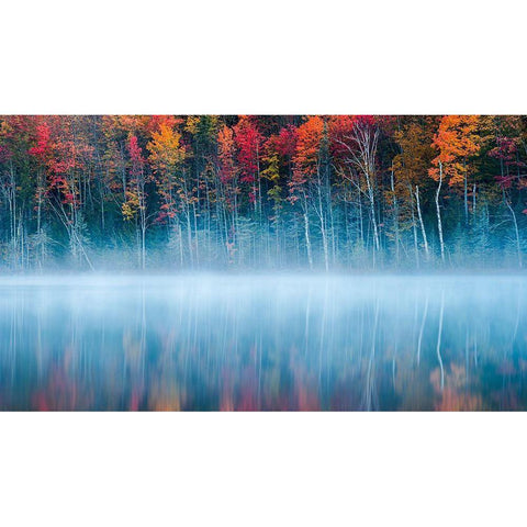 Morning Reflection Black Modern Wood Framed Art Print with Double Matting by Fan, John