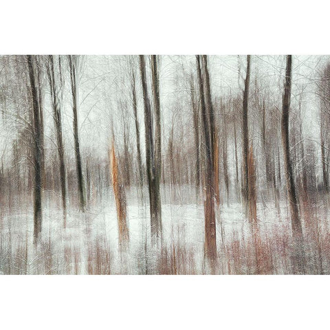 Cold Black Modern Wood Framed Art Print with Double Matting by Davidsson, Gustav