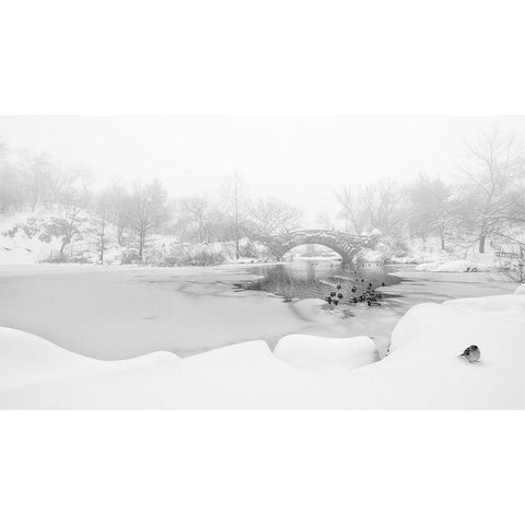 The first snow of central park Gold Ornate Wood Framed Art Print with Double Matting by Menghuailin