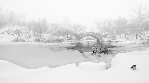 The first snow of central park White Modern Wood Framed Art Print with Double Matting by Menghuailin