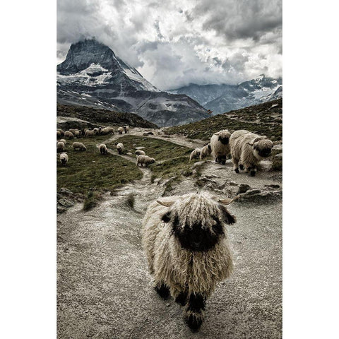 Out Of My Way Black Modern Wood Framed Art Print with Double Matting by Landolt, Susanne